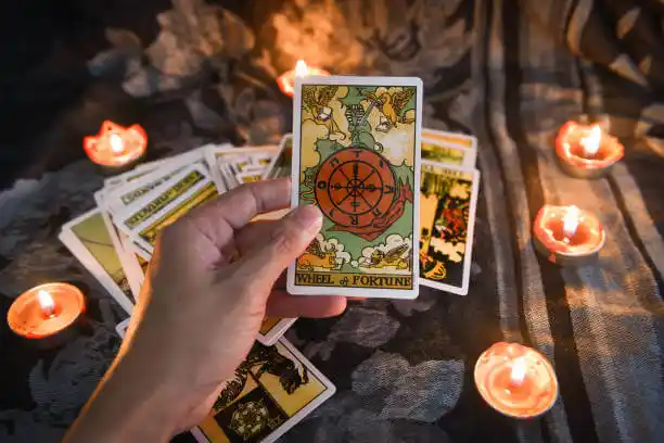 tarot cards Plantation